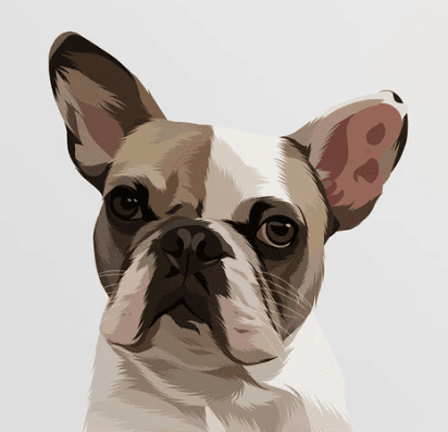 Digital pet portrait example